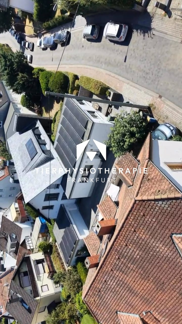 Drohnenflug über die Praxis der Tierphysiotherapie Frankfurt